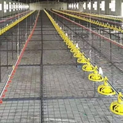 22ton 220V Auger Automatic Pan Feeding System Shed