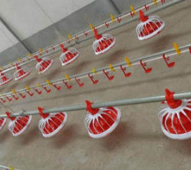 Poultry Farm Shed Ground Broiler Poultry Equipment