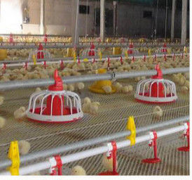 Poultry Farm Shed Ground Broiler Poultry Equipment