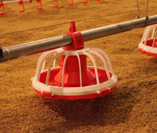 Poultry Farm Shed Ground Broiler Poultry Equipment