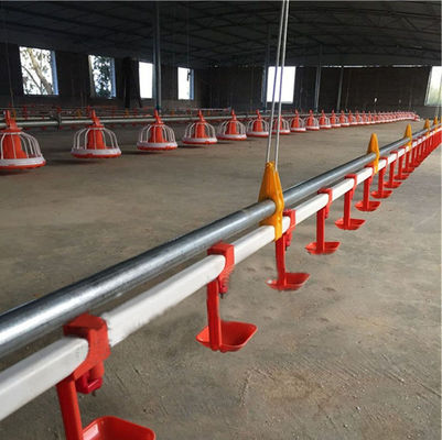 Hen gà Trang trại Gia cầm Thức ăn Gia cầm Đồ uống Động vật Tờ HDg