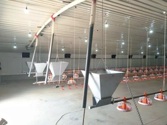 Chuỗi trang trại gà Hệ thống cho ăn bằng chảo tự động 1 giai đoạn